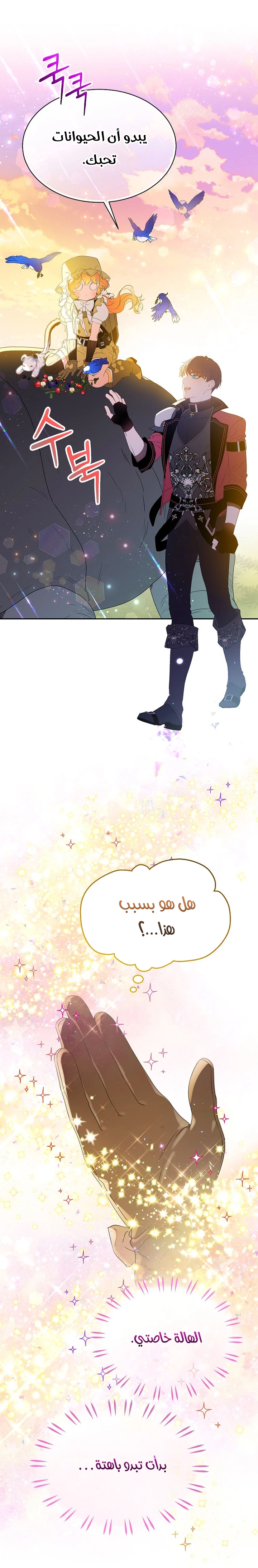 الصفحة 42
