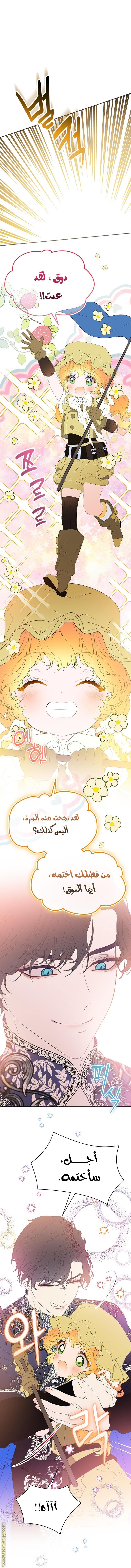 الصفحة 35
