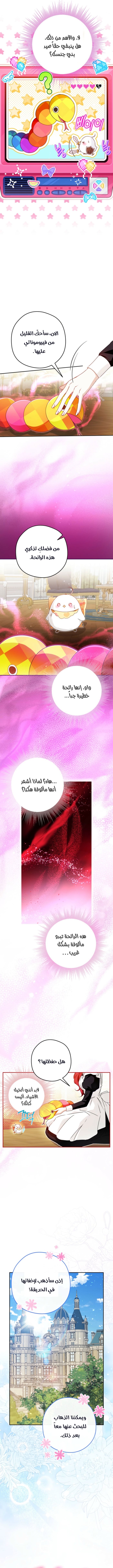 الصفحة 2