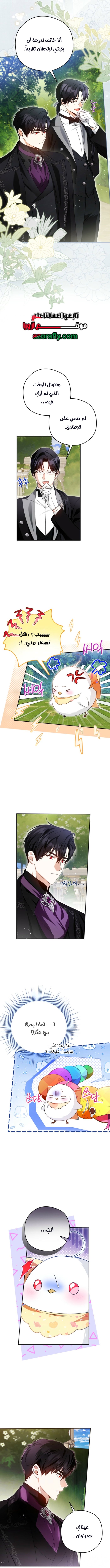 الصفحة 5