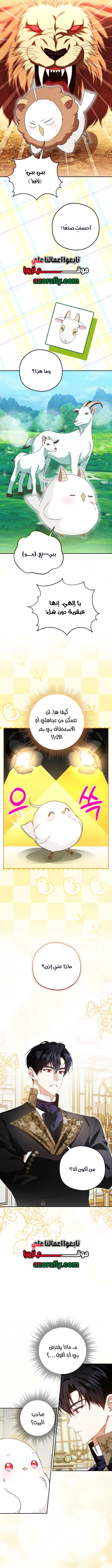 الصفحة 10