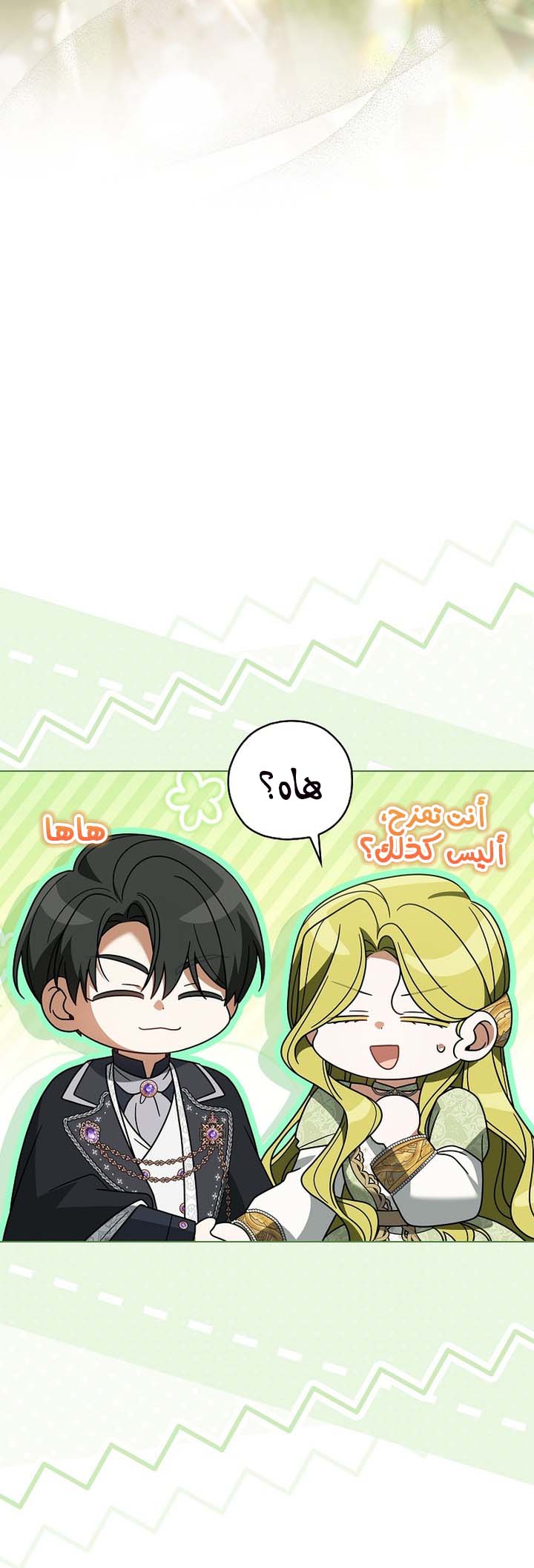 الصفحة 43