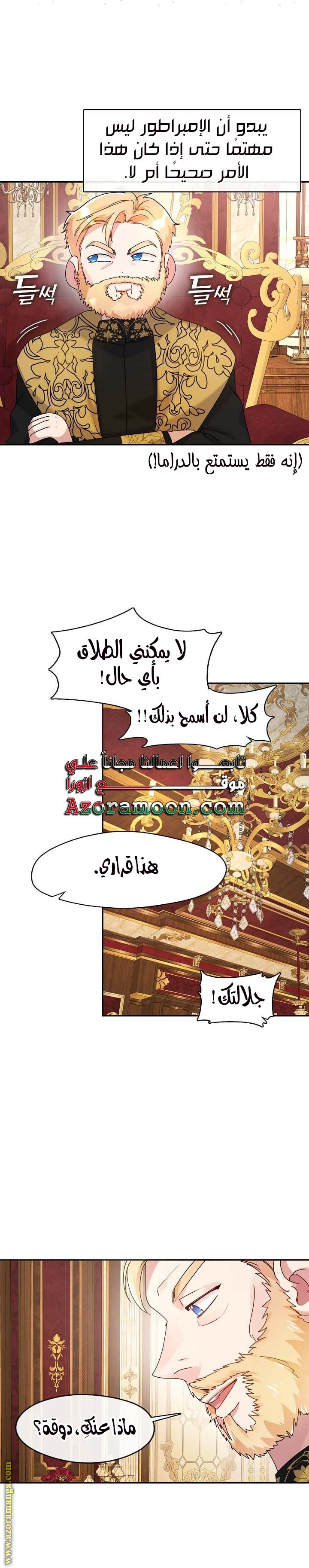 الصفحة 17