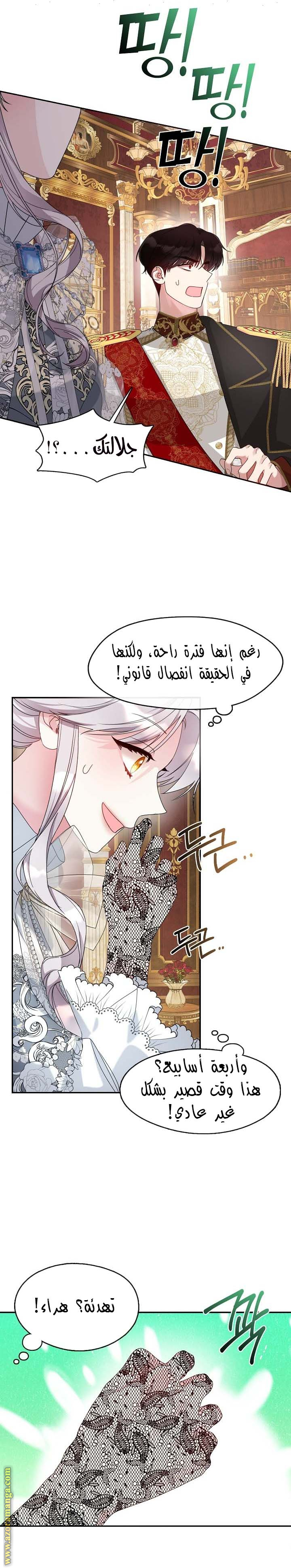 الصفحة 20
