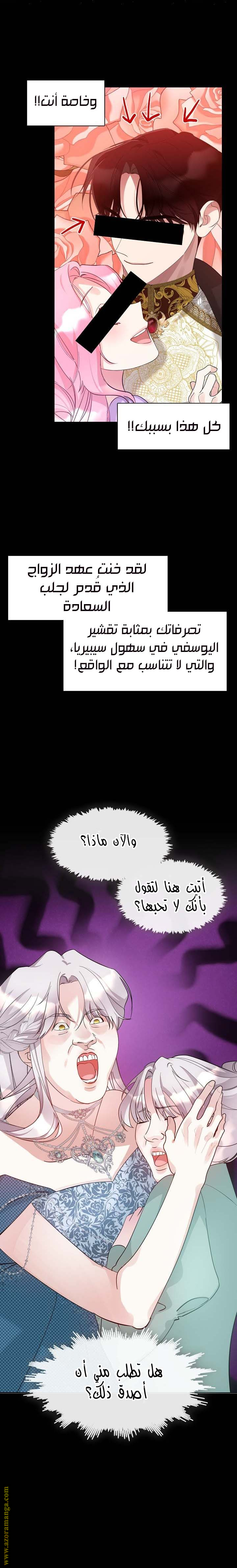 الصفحة 21