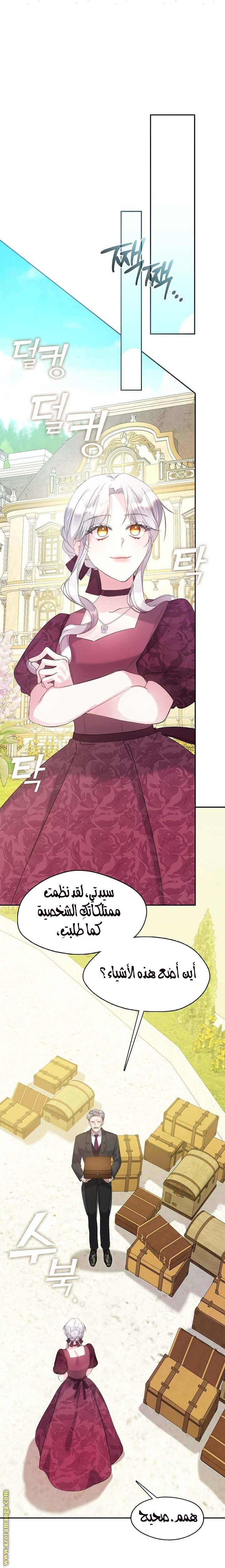 الصفحة 17