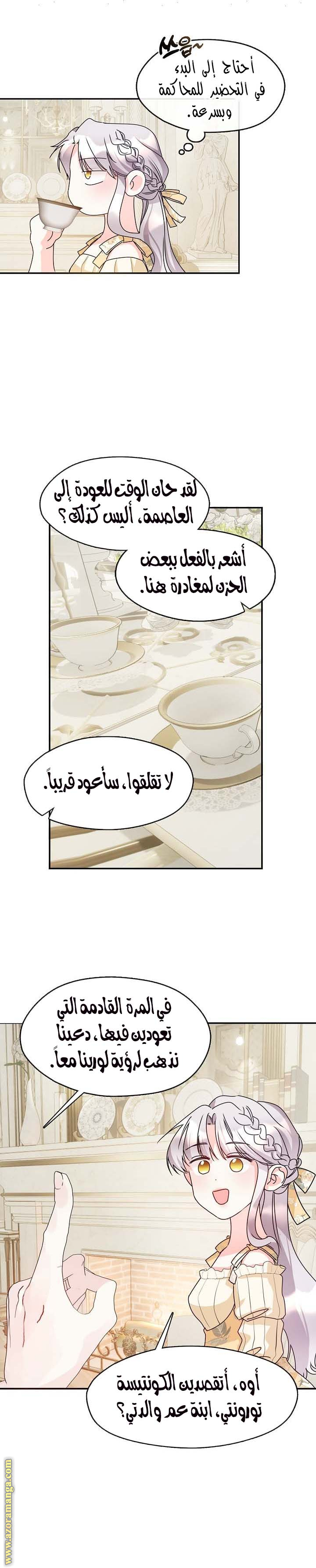 الصفحة 17