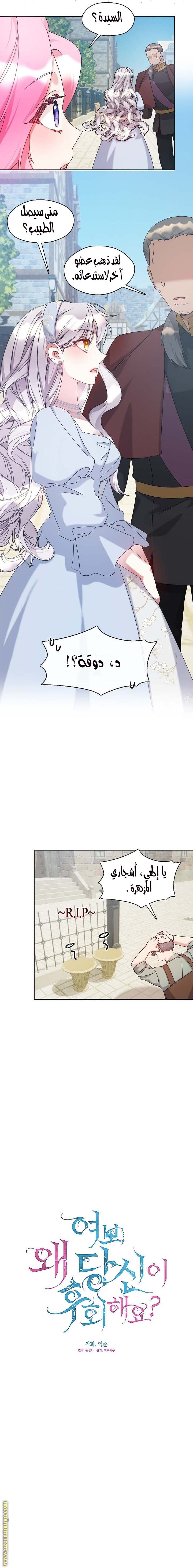 الصفحة 12