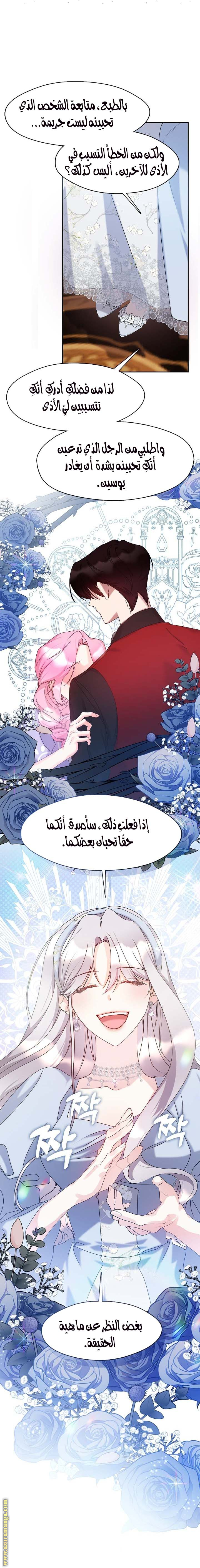 الصفحة 17