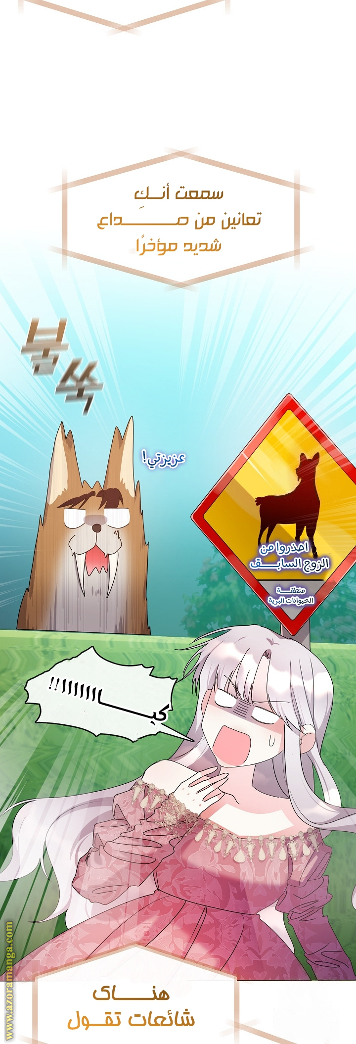 الصفحة 23