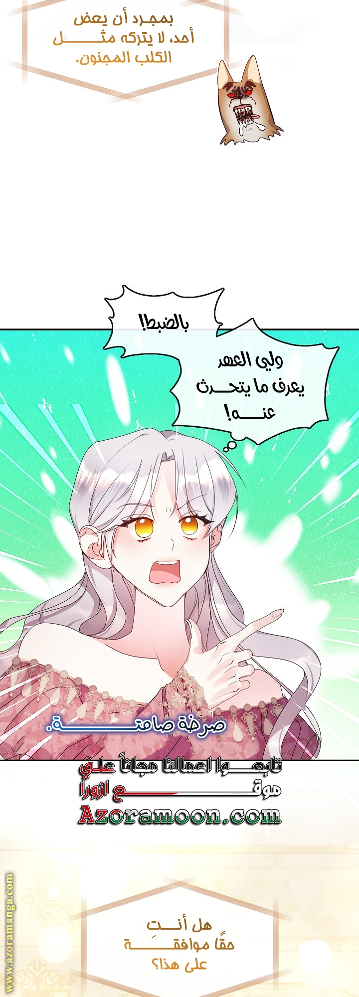 الصفحة 25