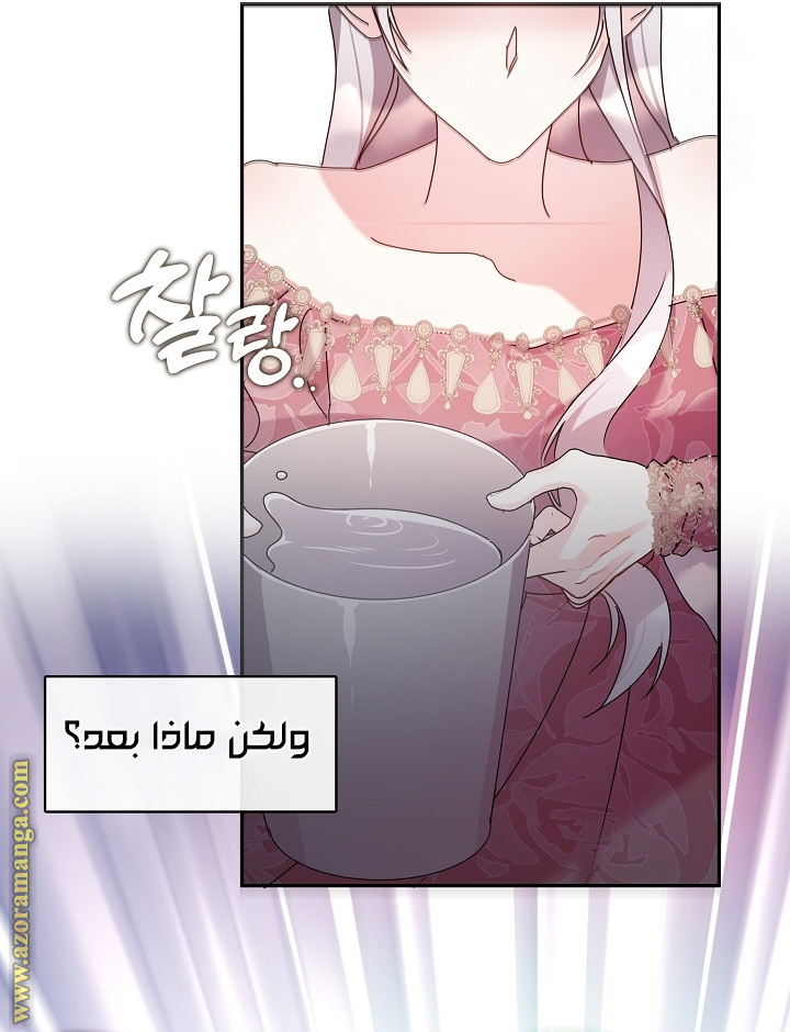 الصفحة 43