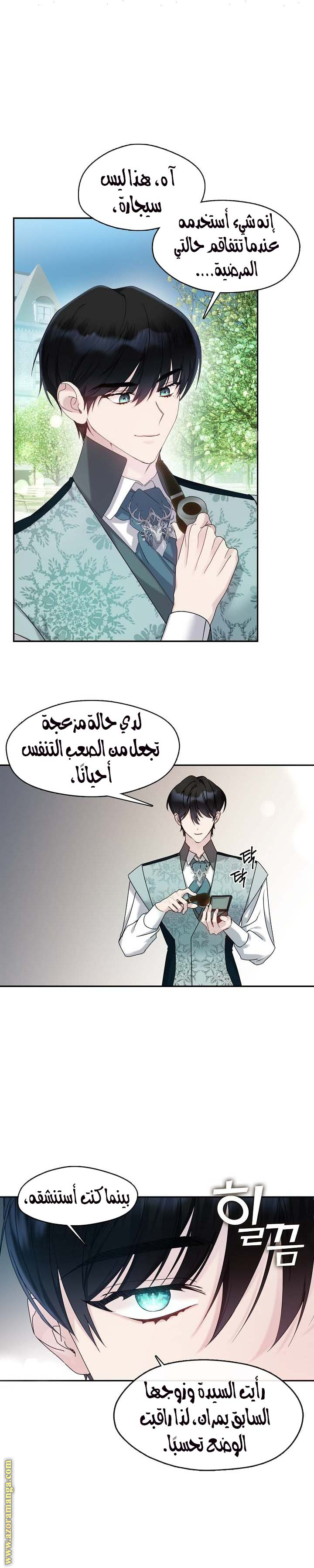 الصفحة 13