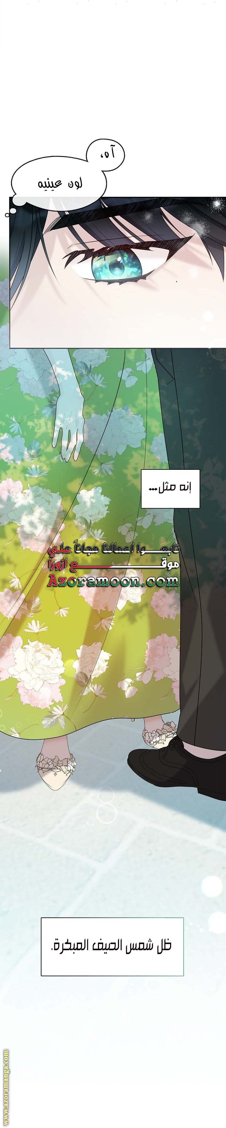 الصفحة 20