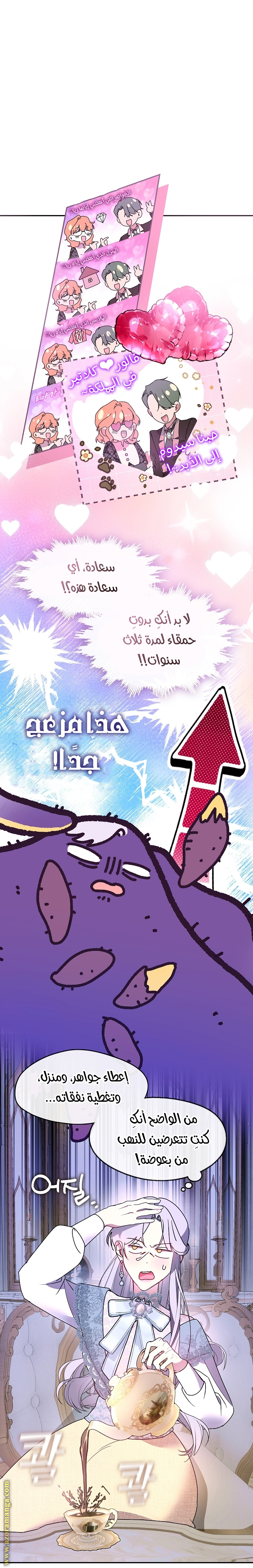 الصفحة 14
