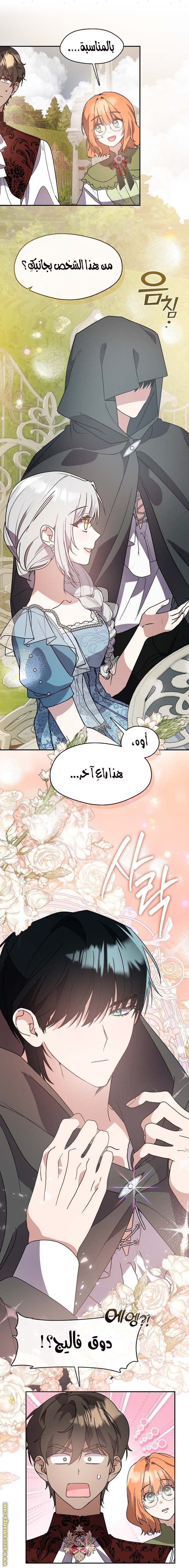 الصفحة 16