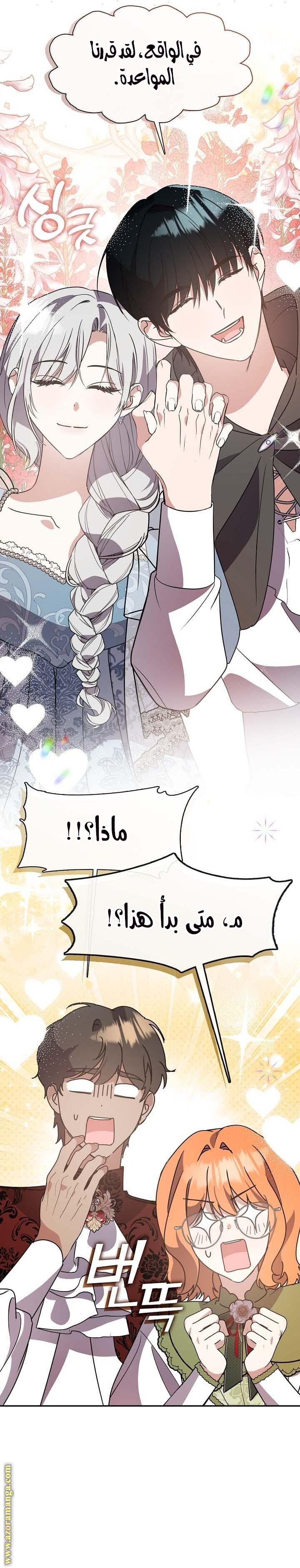 الصفحة 19