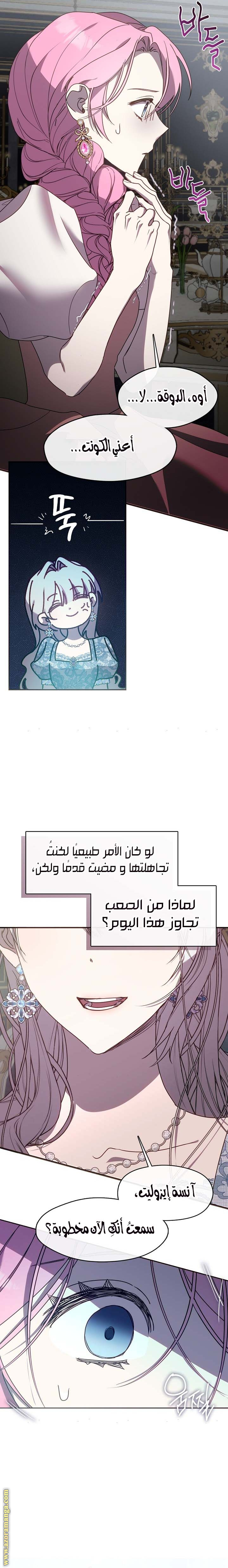 الصفحة 17