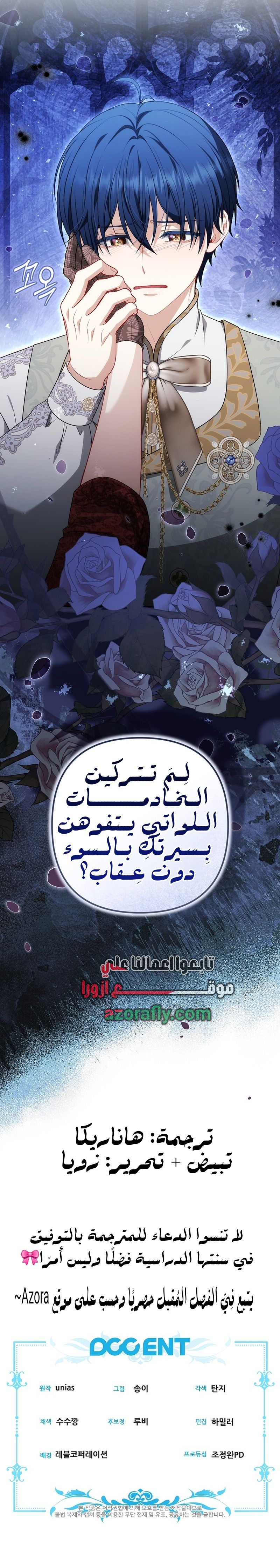 الصفحة 13