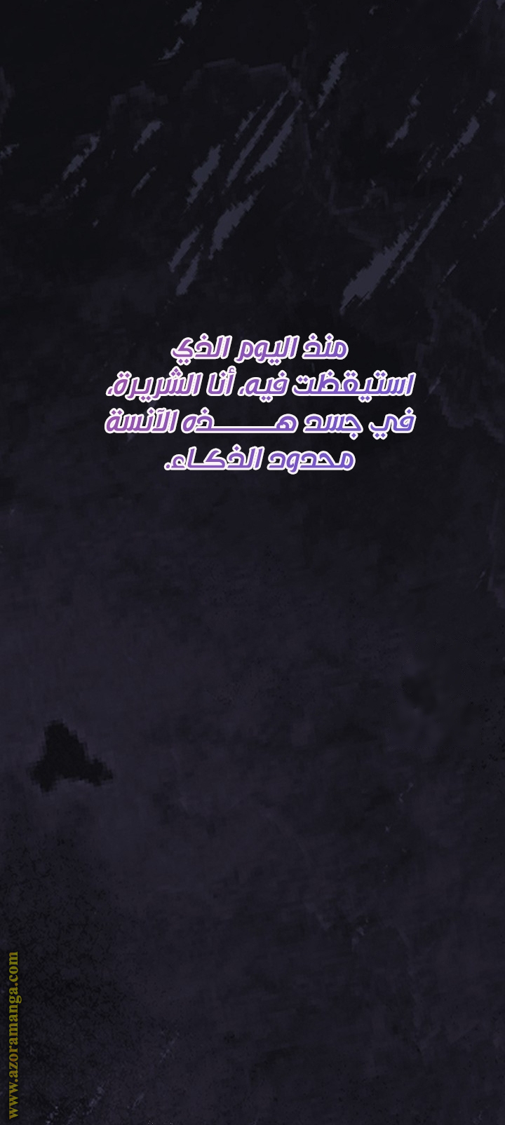 الصفحة 41