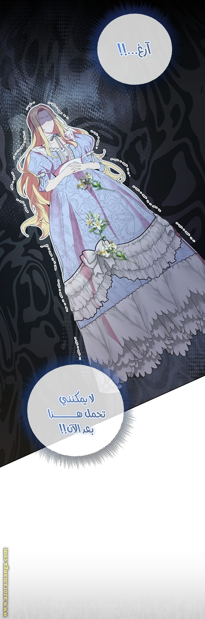الصفحة 27
