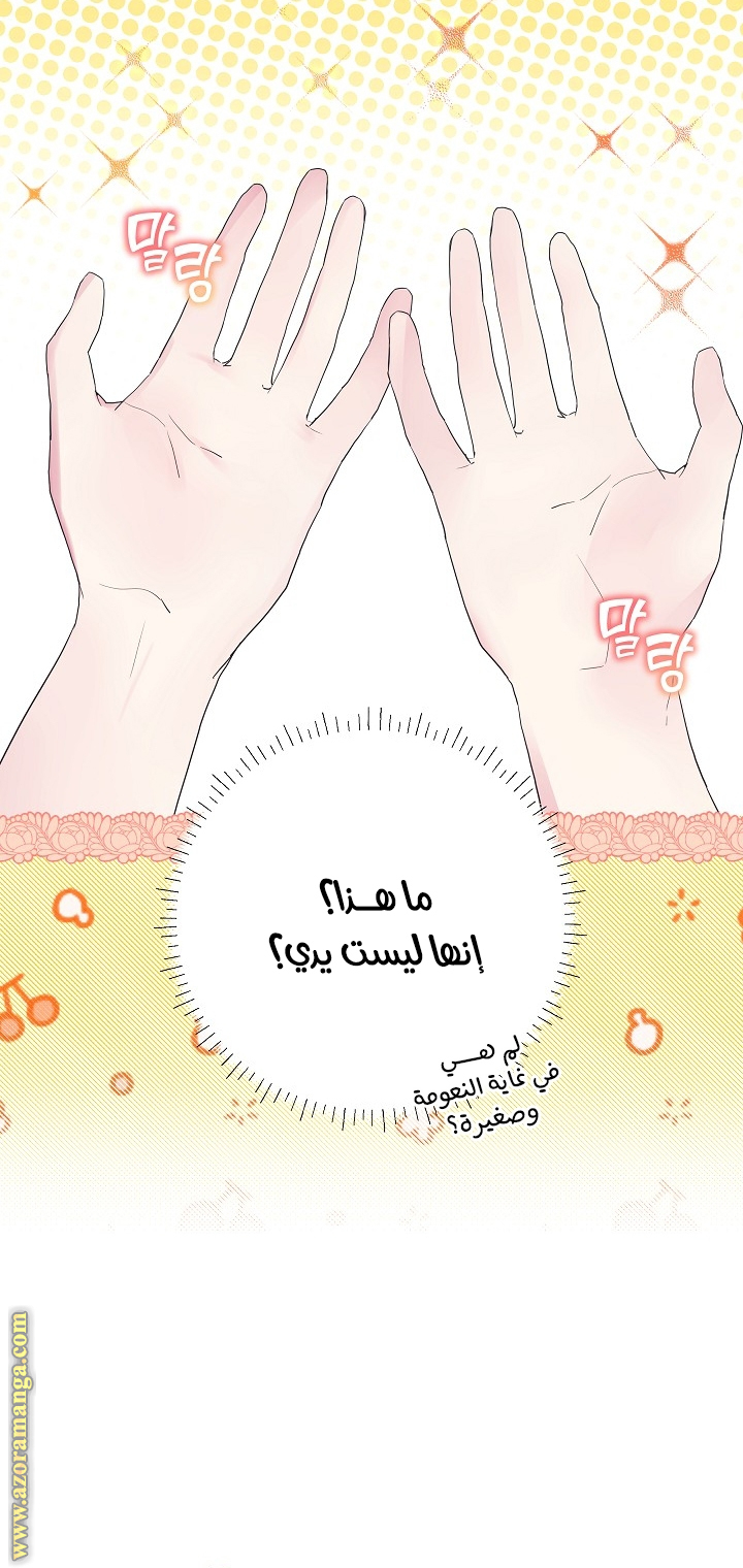 الصفحة 35