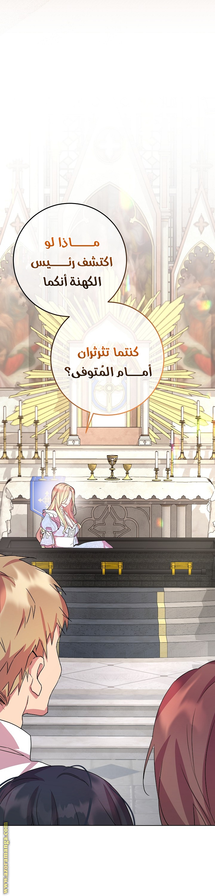 الصفحة 47