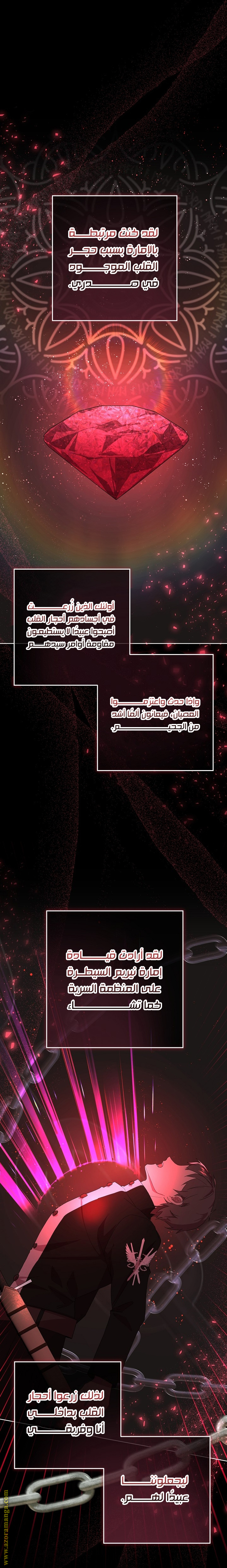 الصفحة 25