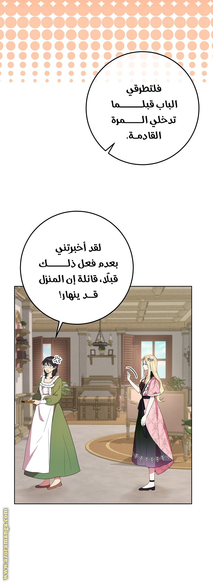 الصفحة 17