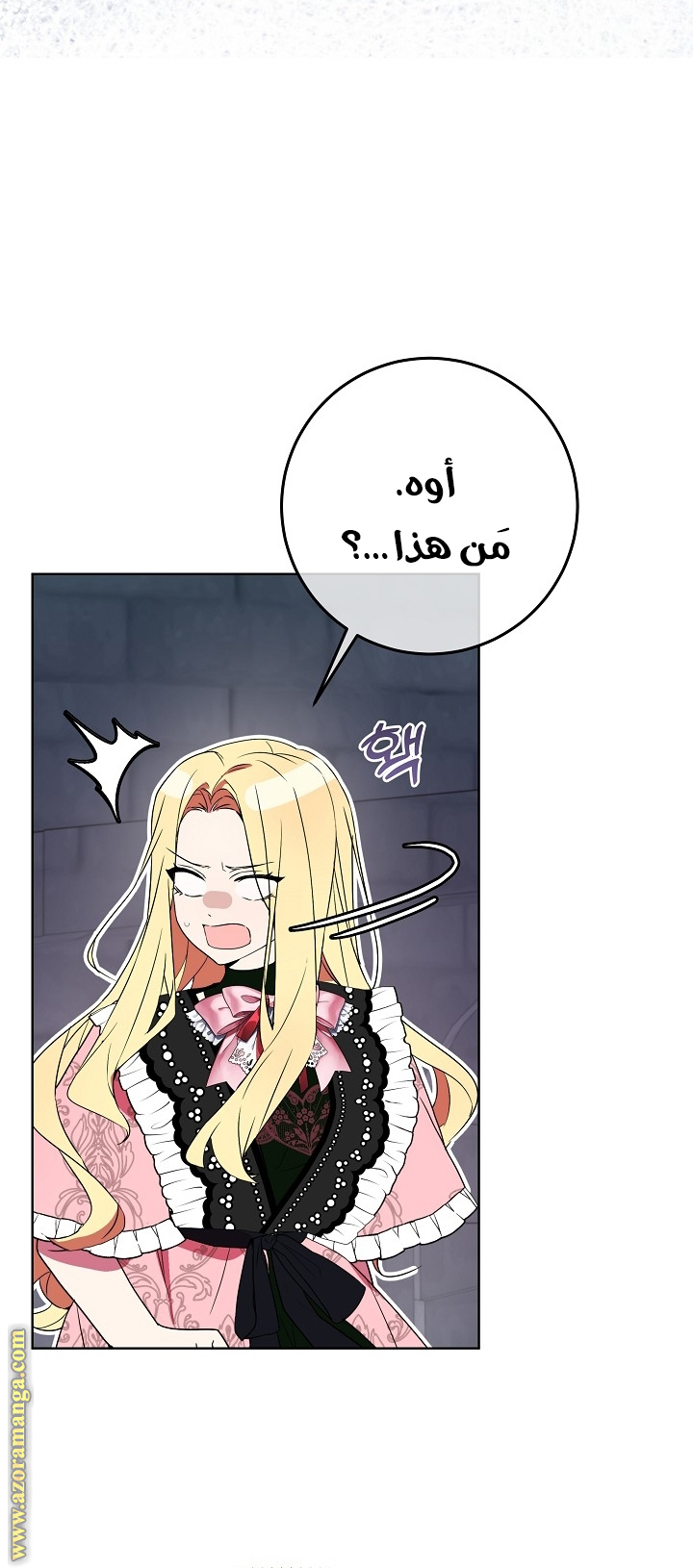الصفحة 46