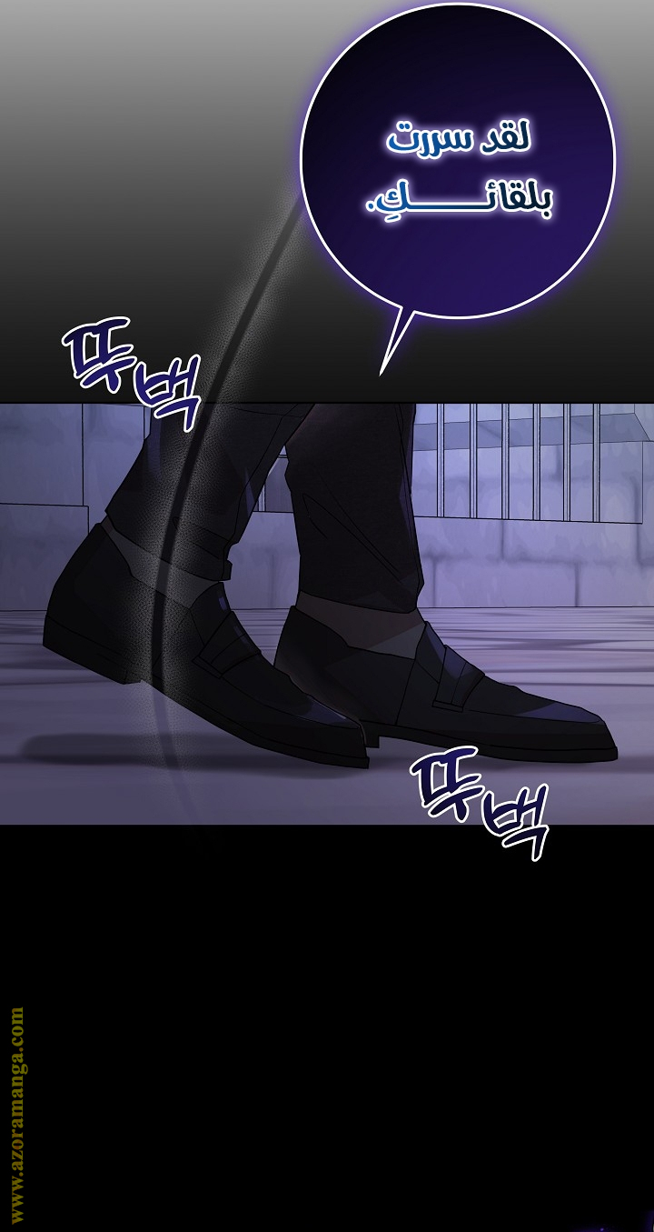 الصفحة 48