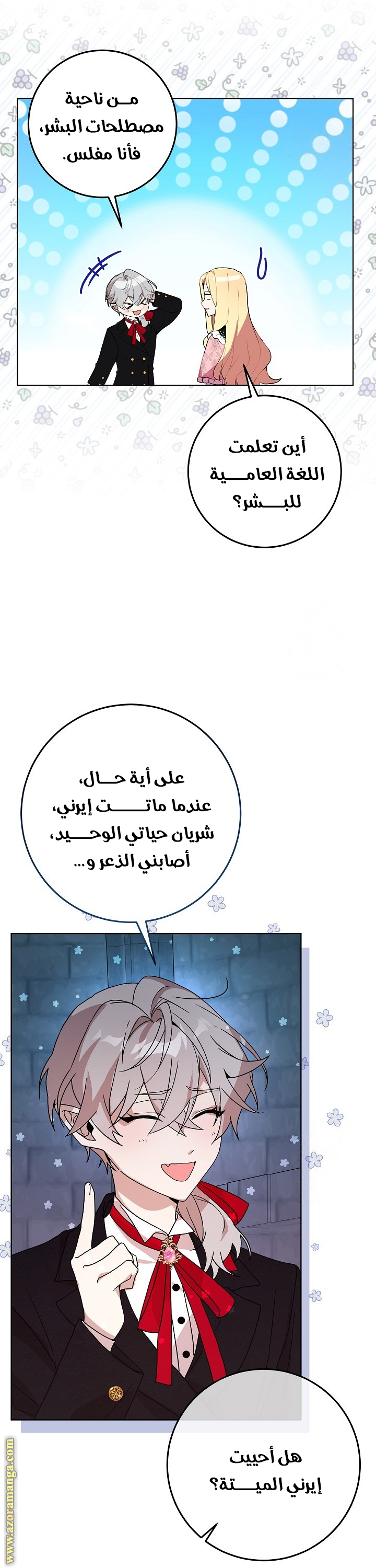 الصفحة 24