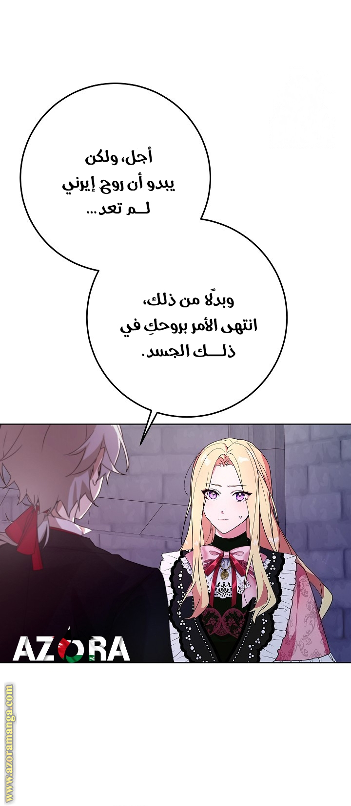 الصفحة 25