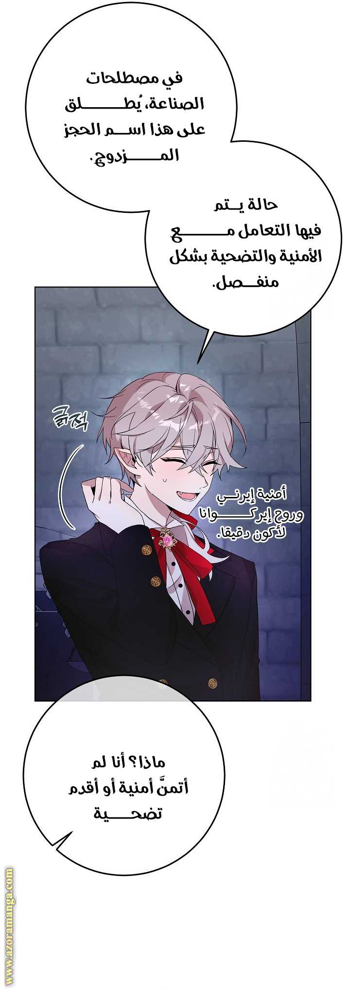 الصفحة 26