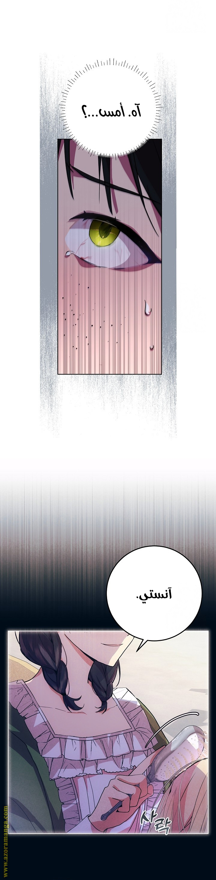 الصفحة 11
