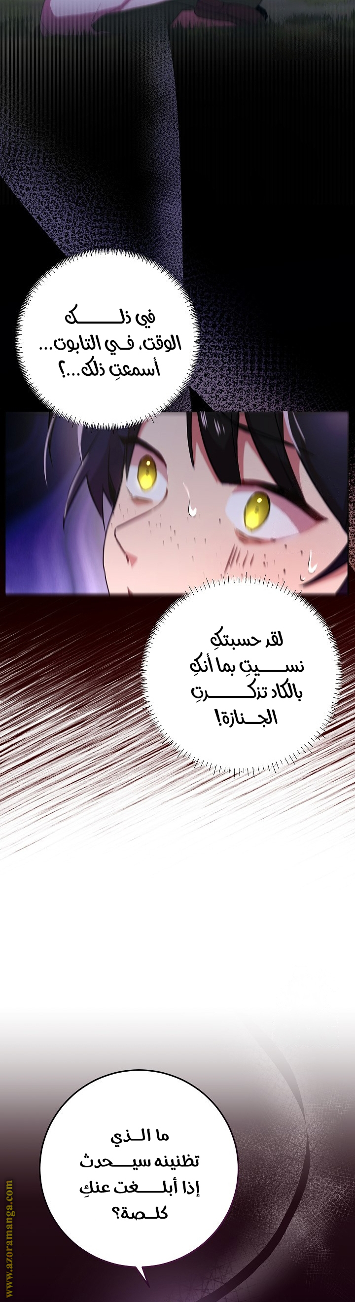الصفحة 25