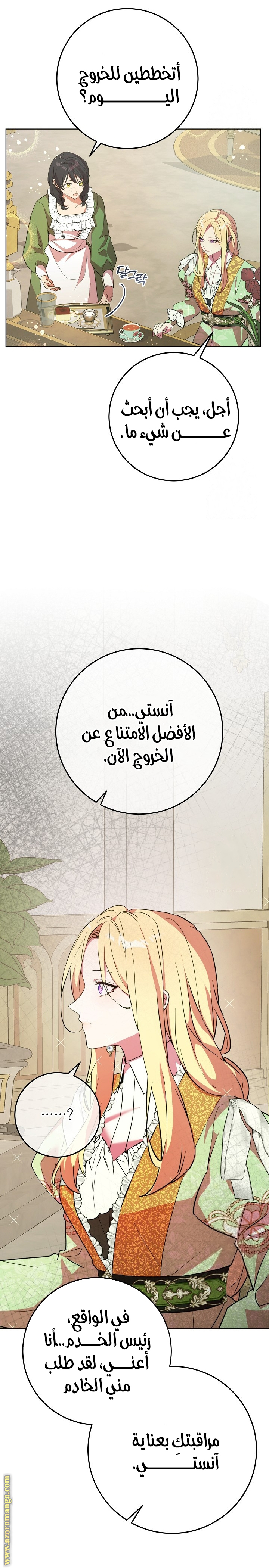 الصفحة 17