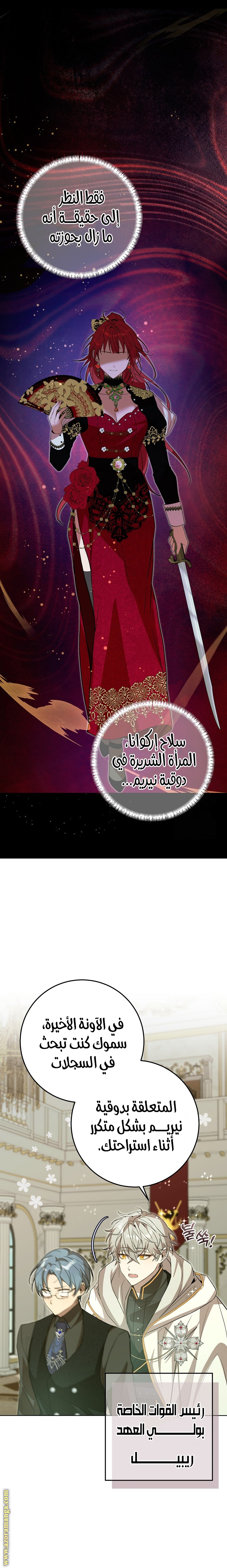 الصفحة 25