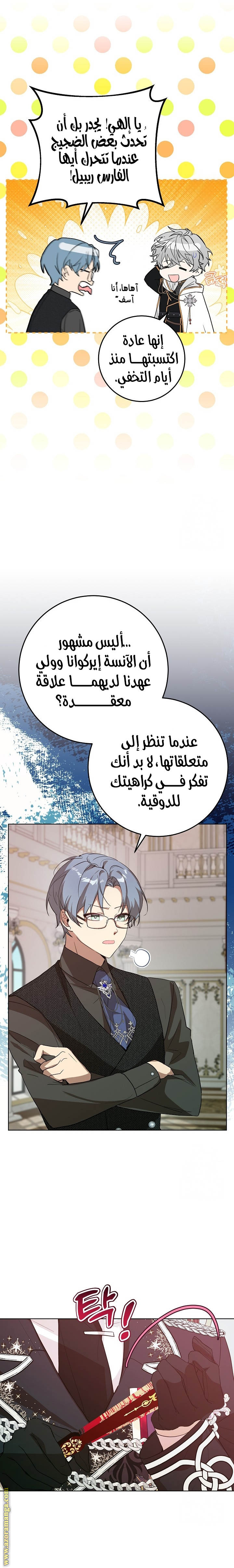 الصفحة 26