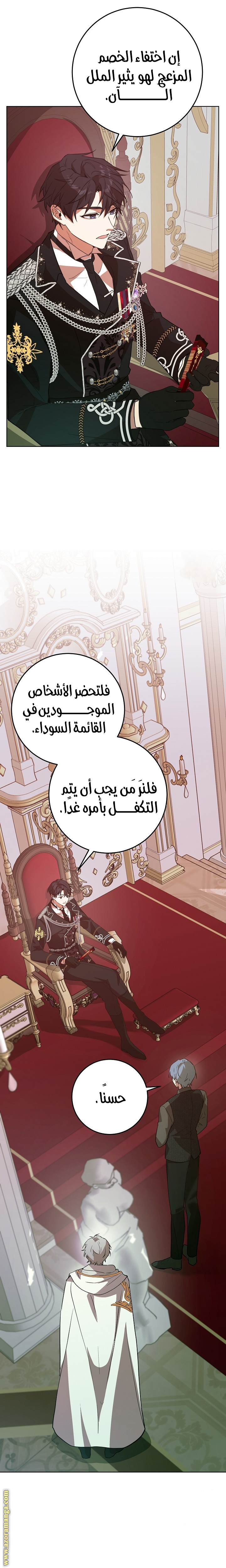 الصفحة 27