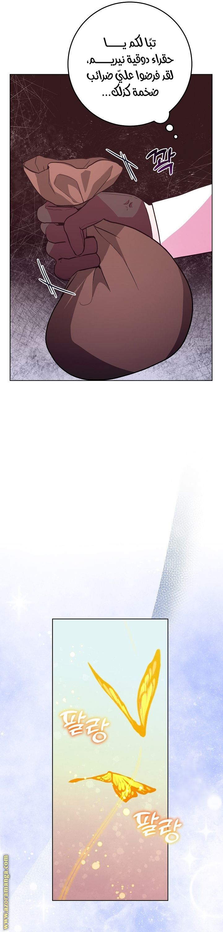 الصفحة 17