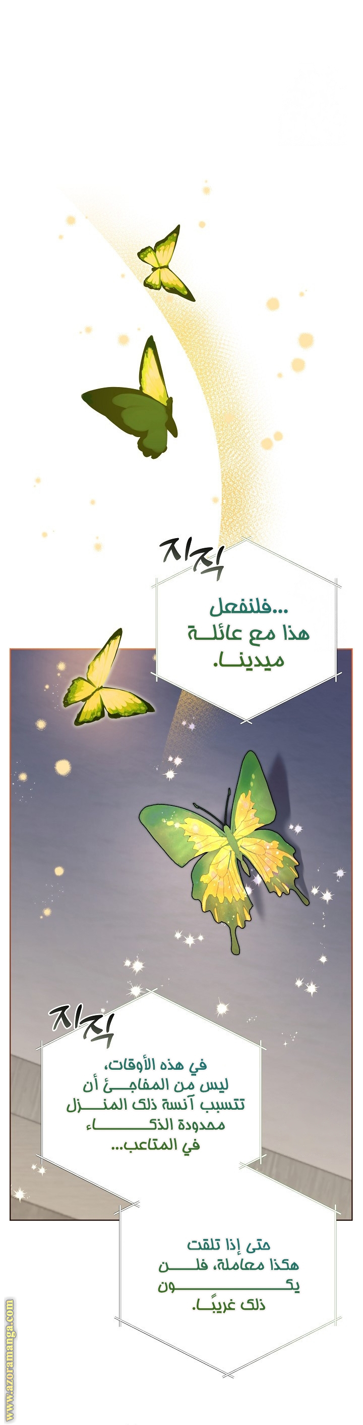 الصفحة 24