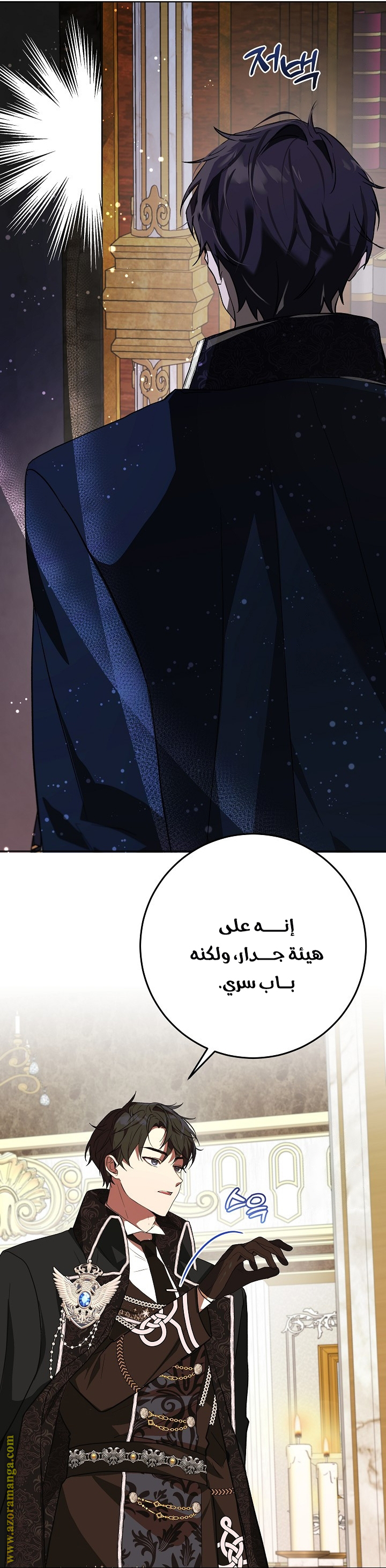 الصفحة 31