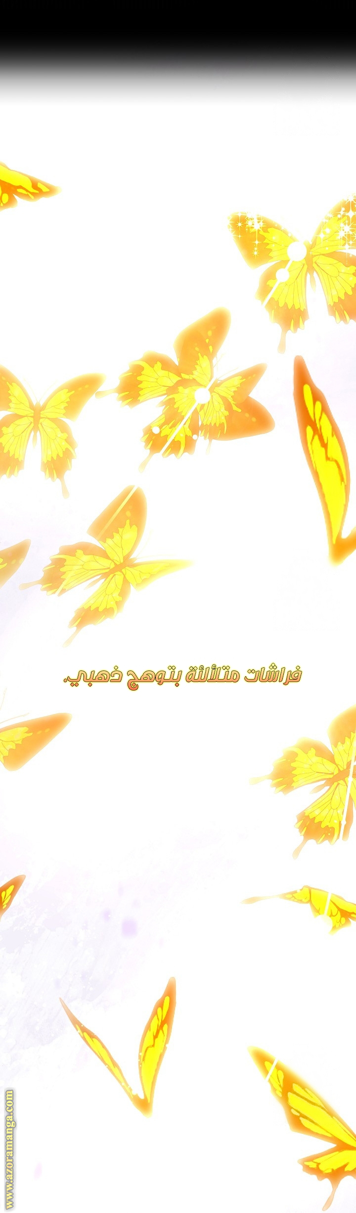 الصفحة 39