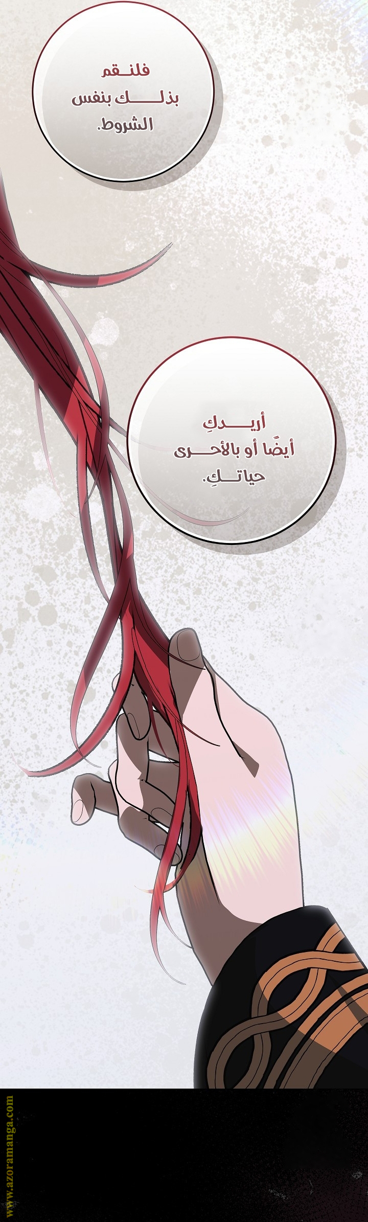 الصفحة 13