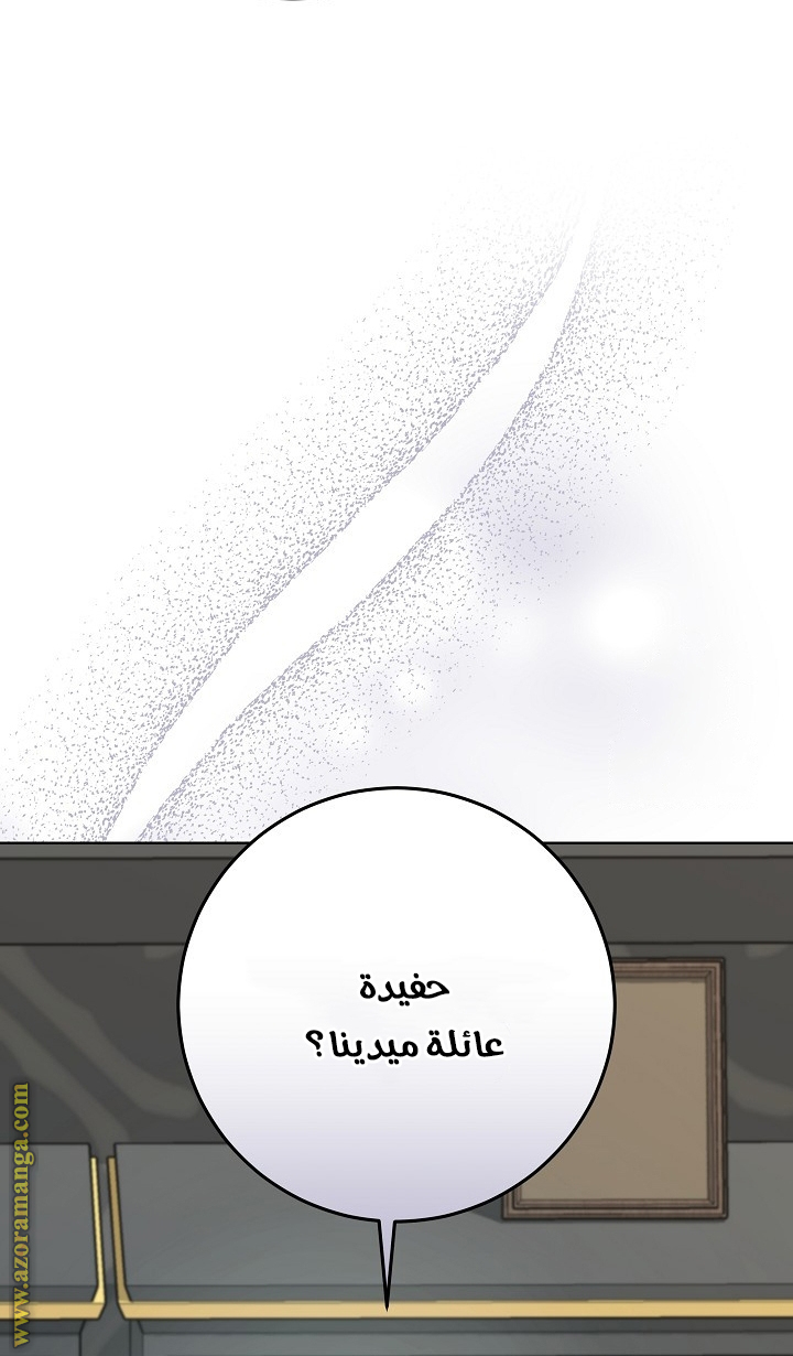 الصفحة 27