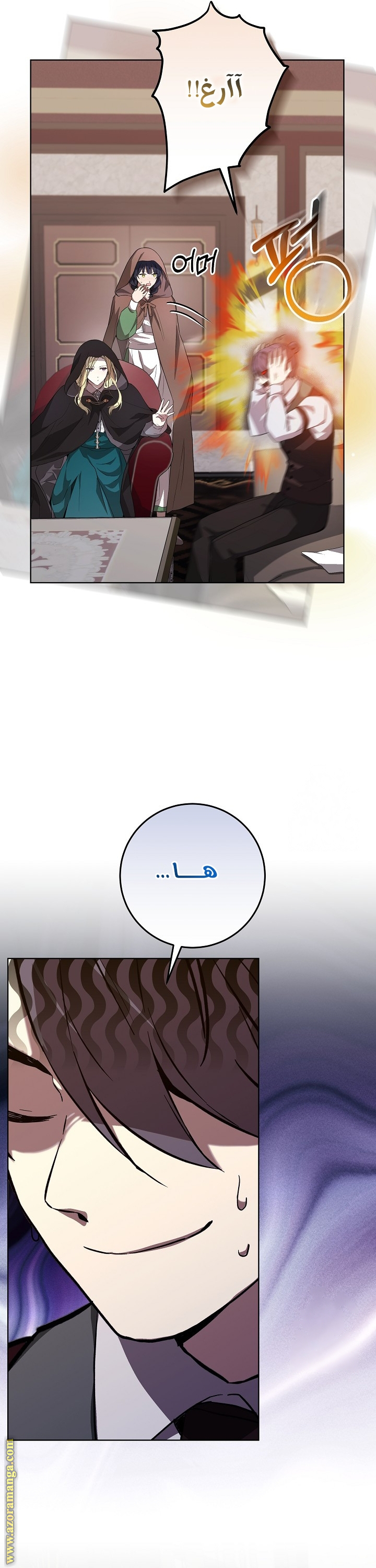 الصفحة 13