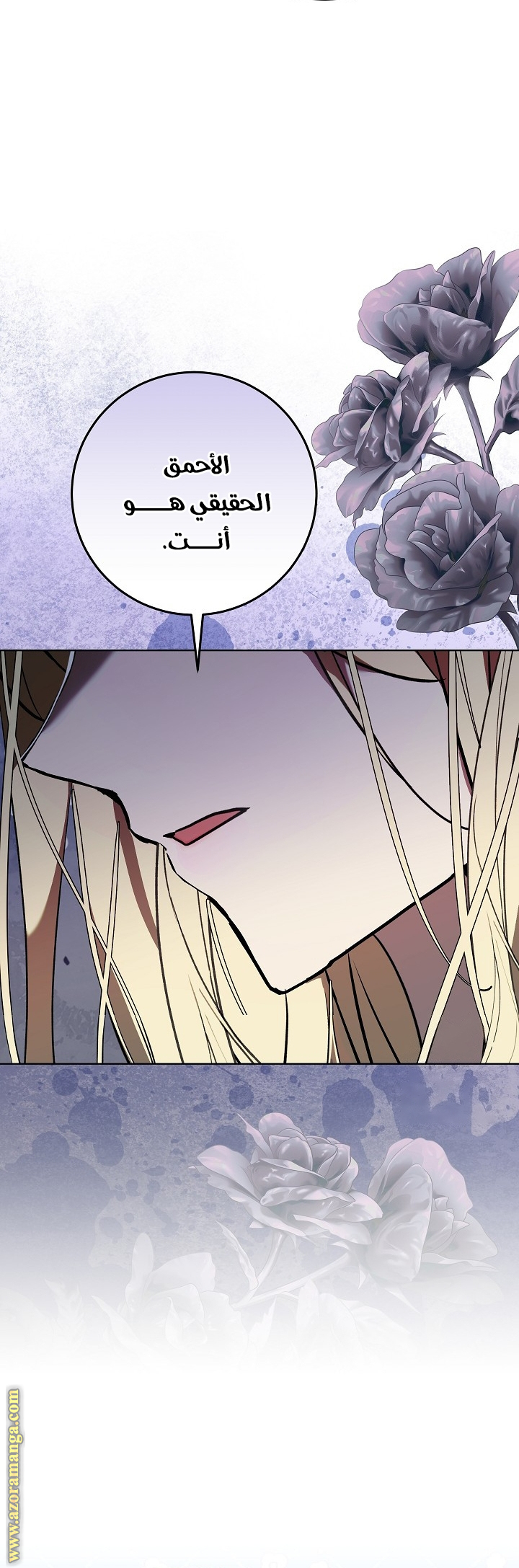 الصفحة 28