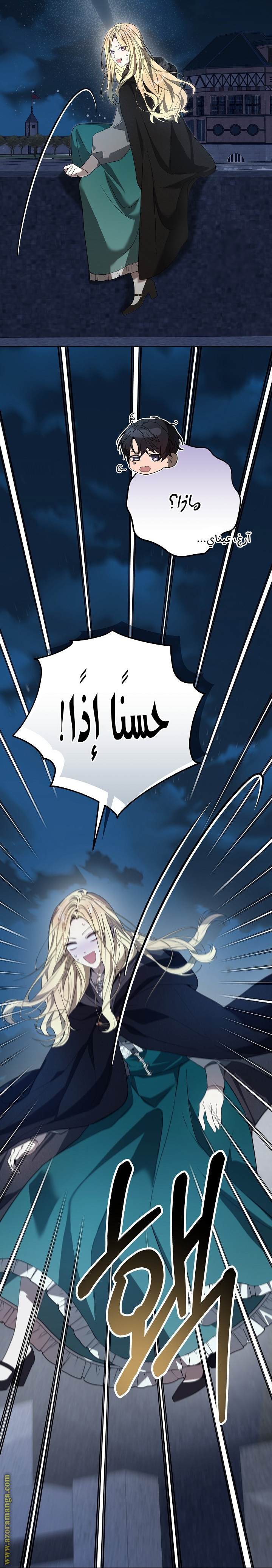 الصفحة 48