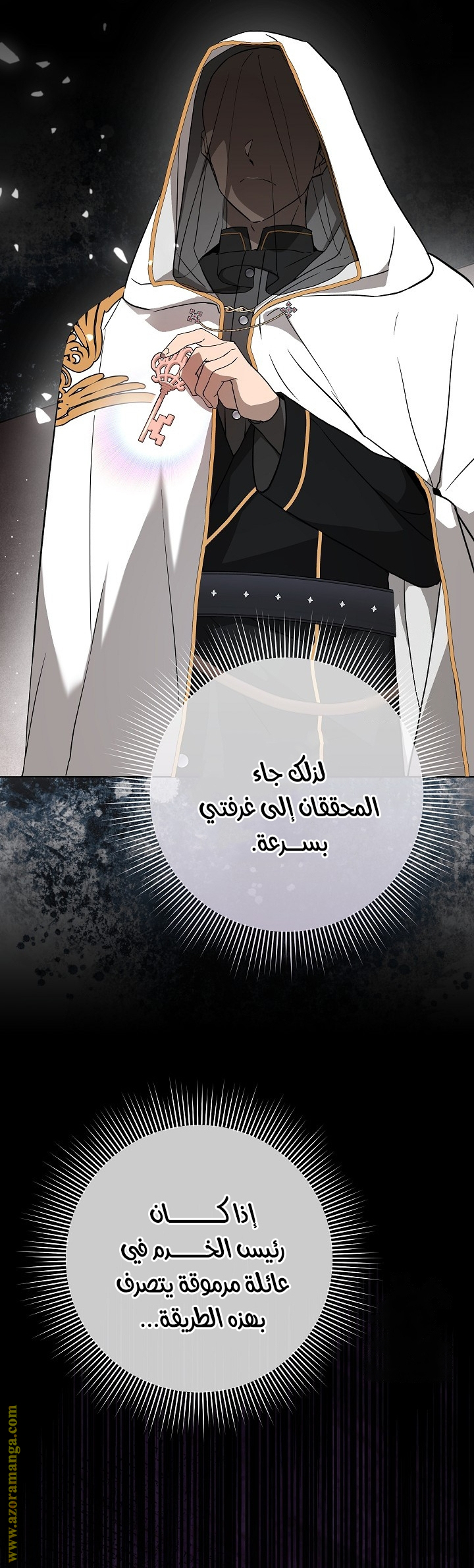 الصفحة 41